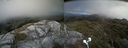./images/calvert/buxton2/20210711/buxton220210711_144003M.jpg