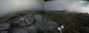 ./images/calvert/buxton2/20210711/buxton220210711_144502M.jpg
