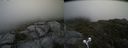 ./images/calvert/buxton2/20210711/buxton220210711_151502M.jpg