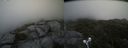 ./images/calvert/buxton2/20210711/buxton220210711_152502M.jpg