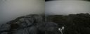 ./images/calvert/buxton2/20210711/buxton220210711_153503M.jpg