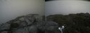 ./images/calvert/buxton2/20210711/buxton220210711_154502M.jpg