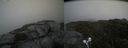 ./images/calvert/buxton2/20210711/buxton220210711_160503M.jpg