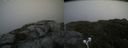 ./images/calvert/buxton2/20210711/buxton220210711_161503M.jpg