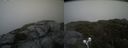 ./images/calvert/buxton2/20210711/buxton220210711_162003M.jpg