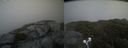 ./images/calvert/buxton2/20210711/buxton220210711_162503M.jpg