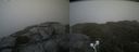 ./images/calvert/buxton2/20210711/buxton220210711_164003M.jpg