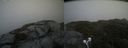./images/calvert/buxton2/20210711/buxton220210711_164503M.jpg