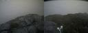 ./images/calvert/buxton2/20210711/buxton220210711_170503M.jpg