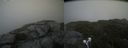 ./images/calvert/buxton2/20210711/buxton220210711_171002M.jpg