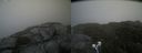 ./images/calvert/buxton2/20210711/buxton220210711_171502M.jpg