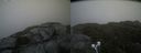 ./images/calvert/buxton2/20210711/buxton220210711_174502M.jpg