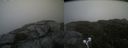 ./images/calvert/buxton2/20210711/buxton220210711_175002M.jpg
