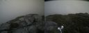 ./images/calvert/buxton2/20210711/buxton220210711_181002M.jpg