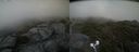 ./images/calvert/buxton2/20210711/buxton220210711_184503M.jpg