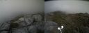 ./images/calvert/buxton2/20210711/buxton220210711_185003M.jpg