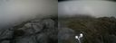 ./images/calvert/buxton2/20210711/buxton220210711_185503M.jpg