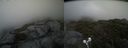 ./images/calvert/buxton2/20210711/buxton220210711_190503M.jpg