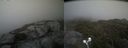 ./images/calvert/buxton2/20210711/buxton220210711_191003M.jpg