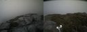 ./images/calvert/buxton2/20210711/buxton220210711_193503M.jpg
