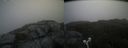 ./images/calvert/buxton2/20210712/buxton220210712_101503M.jpg