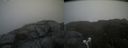 ./images/calvert/buxton2/20210712/buxton220210712_102503M.jpg