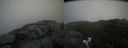 ./images/calvert/buxton2/20210712/buxton220210712_103503M.jpg