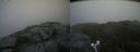 ./images/calvert/buxton2/20210712/buxton220210712_105503M.jpg