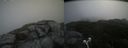 ./images/calvert/buxton2/20210712/buxton220210712_114002M.jpg