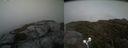 ./images/calvert/buxton2/20210712/buxton220210712_173502M.jpg
