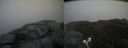 ./images/calvert/buxton2/20210712/buxton220210712_192003M.jpg