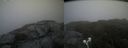 ./images/calvert/buxton2/20210712/buxton220210712_204002M.jpg