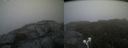 ./images/calvert/buxton2/20210712/buxton220210712_205002M.jpg