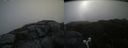 ./images/calvert/buxton2/20210713/buxton220210713_094002M.jpg