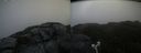 ./images/calvert/buxton2/20210713/buxton220210713_095002M.jpg