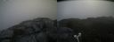 ./images/calvert/buxton2/20210713/buxton220210713_101002M.jpg