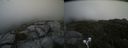 ./images/calvert/buxton2/20210713/buxton220210713_145002M.jpg