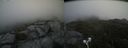 ./images/calvert/buxton2/20210713/buxton220210713_145502M.jpg