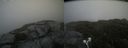 ./images/calvert/buxton2/20210713/buxton220210713_152002M.jpg