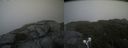 ./images/calvert/buxton2/20210713/buxton220210713_160503M.jpg