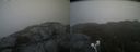 ./images/calvert/buxton2/20210713/buxton220210713_161003M.jpg