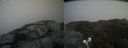 ./images/calvert/buxton2/20210713/buxton220210713_162503M.jpg