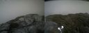 ./images/calvert/buxton2/20210713/buxton220210713_170502M.jpg