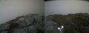 ./images/calvert/buxton2/20210713/buxton220210713_172002M.jpg