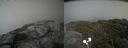 ./images/calvert/buxton2/20210713/buxton220210713_172502M.jpg