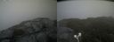 ./images/calvert/buxton2/20210713/buxton220210713_182003M.jpg