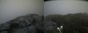 ./images/calvert/buxton2/20210713/buxton220210713_184003M.jpg