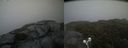 ./images/calvert/buxton2/20210713/buxton220210713_184503M.jpg