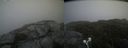 ./images/calvert/buxton2/20210713/buxton220210713_185003M.jpg