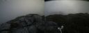 ./images/calvert/buxton2/20210714/buxton220210714_101502M.jpg